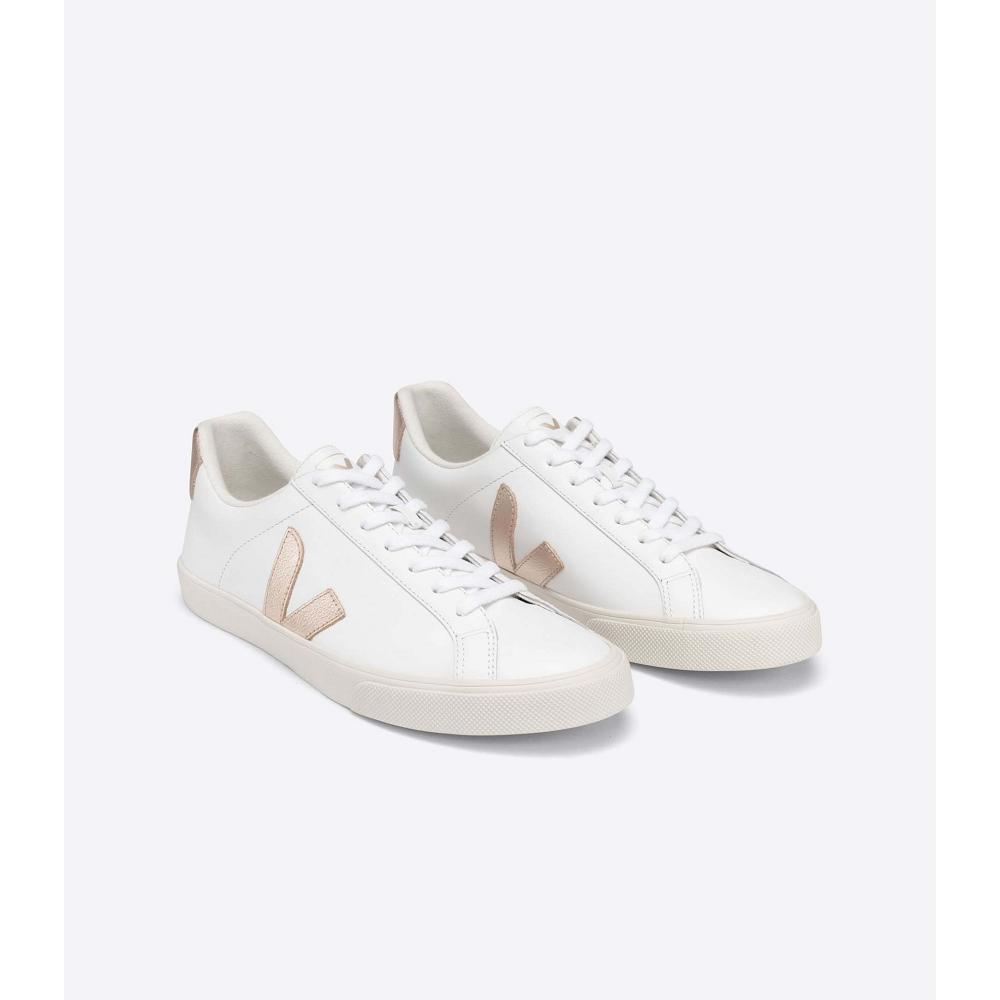 Veja ESPLAR LEATHER Women's Sneakers White/Brown | NZ 606TCE